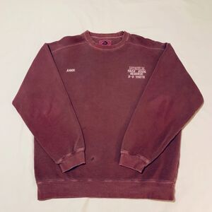 Pink Salmon Authentic Pigment Crewneck – Size M